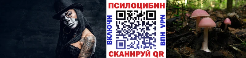 цены Магадан нарко площадка наркотические препараты Галлюциногенные грибы прущие грибы omg ONION