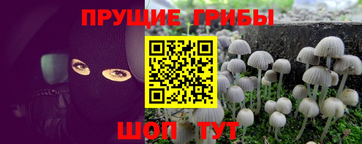 Магадан  Галлюциногенные грибы MAGIC MUSHROOMS  Вход с VPN  Псилоцибиновые грибы Psilocybine cubensis 